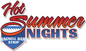 Hot Summer Nights logo